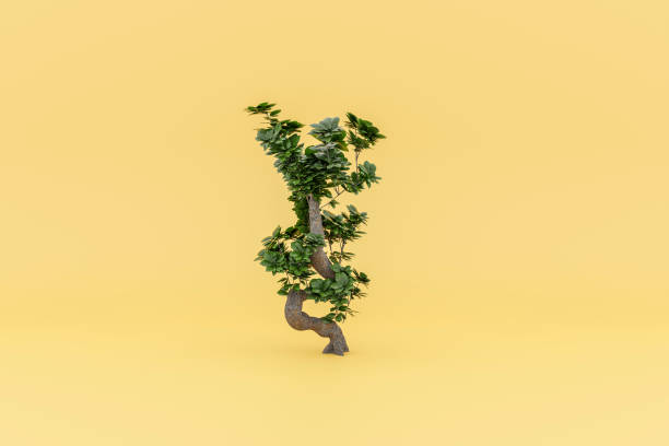 3d of monstera deliciosa on yellow background - garden decoration stockfoto's en -beelden