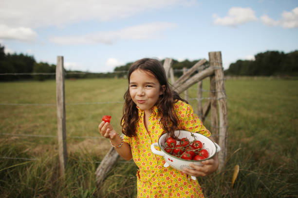 a 8 years old girl eating tomatoes in the countryside - food stockfoto's en -beelden