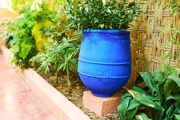 a beautiful large blue pot on a concrete block with a planted plant decorating a corridor with more plants in a row. - garden decoration stock pictures, royalty-free photos & images