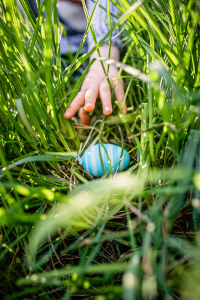 a child's hand reaching for an easter egg. - garden decoration stock pictures, royalty-free photos & images
