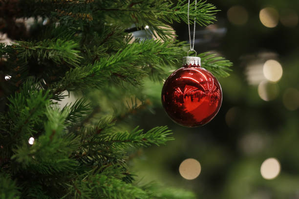 a christmas bauble hangs from a tree - home decoration stock pictures, royalty-free photos & images