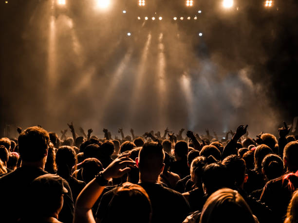 a crowd at a concert. - concert stock pictures, royalty-free photos & images