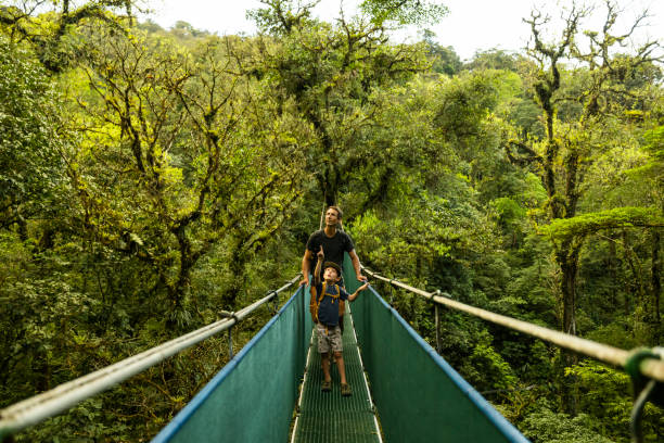 a father and son hiking across a suspension bridge in costa rica. - travel stock-fotos und bilder