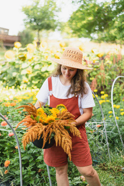 a flower farmer carrying a fall flower bouquet from her cut flow - garden decoration stock pictures, royalty-free photos & images