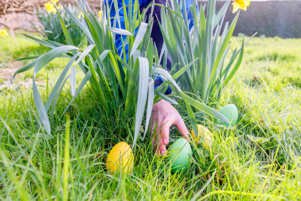 a hand reaching for an easter egg hidden in daffodil flowers - garden decoration stock pictures, royalty-free photos & images