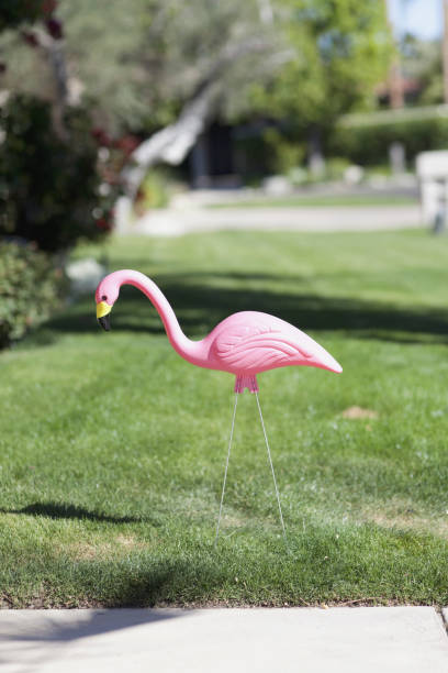 a plastic pink flamingo stuck in a lawn, close-up - garden decoration stock pictures, royalty-free photos & images
