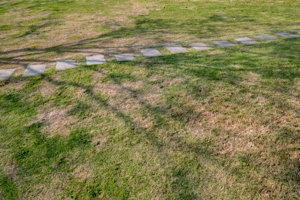 a stone path on the grass - garden decoration stock pictures, royalty-free photos & images