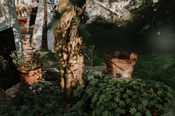 a sun-dappled raised flower bed in a beautiful garden - garden decoration stock pictures, royalty-free photos & images