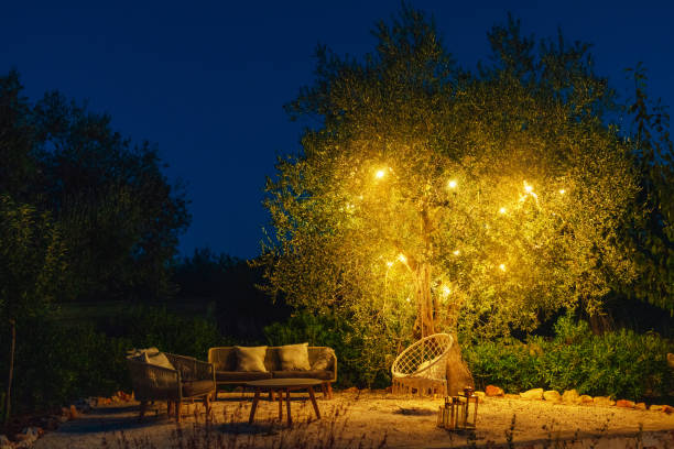 a tranquil garden at summer night - garden decoration stock pictures, royalty-free photos & images