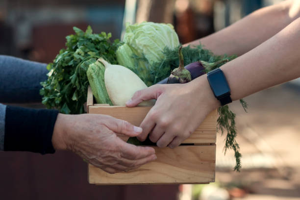 a wooden box with farm vegetables in the hands of a man and a woman, close-up. vegetarianism, healthy eating, autumn harvest. - food stock pictures, royalty-free photos & images