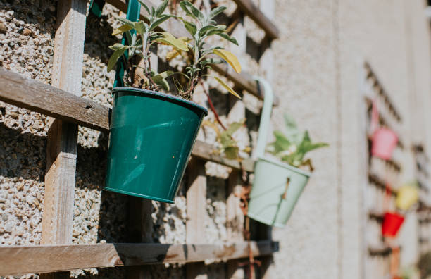 a wooden trellis in sunlight, with various coloured small hanging planters hanging from it - garden decoration stock pictures, royalty-free photos & images