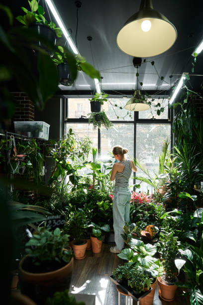 a young woman in a striped t-shirt takes care of plants in a floral urban jungle. plant shop. - home decoration stock pictures, royalty-free photos & images