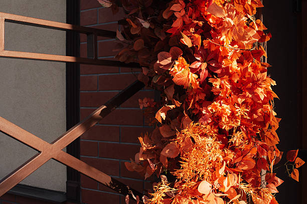 abstract autumn background with yellow, red and orange tree leaves. happy halloween. holiday background. autumn harvest festival. thanksgiving day. - garden decoration stock pictures, royalty-free photos & images