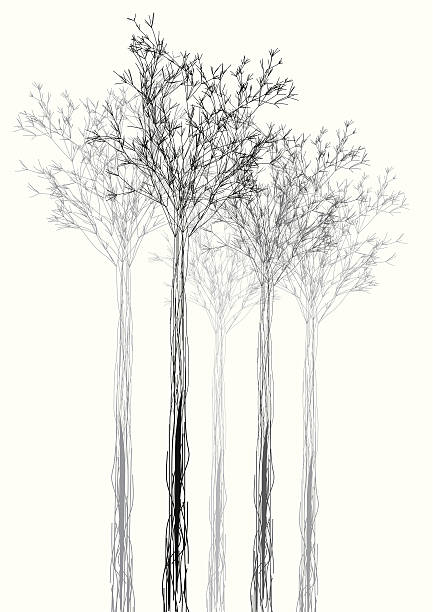 abstract black and white tree shape background - garden decoration stock illustrations