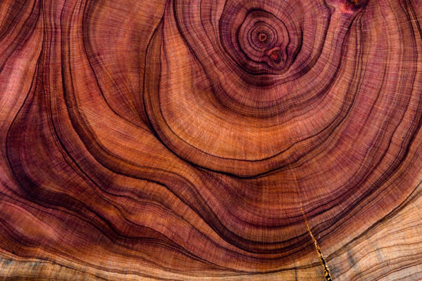 abstract hardwood - home decoration stock pictures, royalty-free photos & images