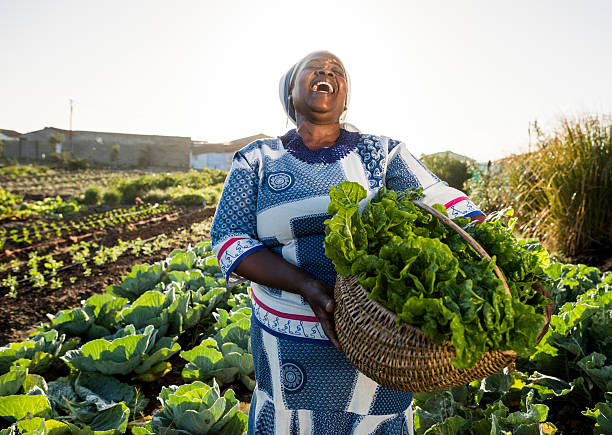 african woman laughing - food stock pictures, royalty-free photos & images