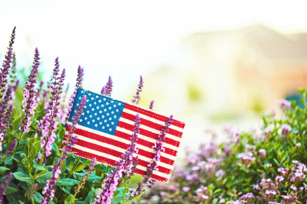american flag in nature with copy space - garden decoration stock pictures, royalty-free photos & images