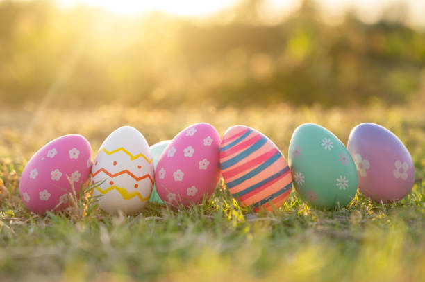 an easter egg sits in the lawn in the evening golden sun. at easter - garden decoration stock pictures, royalty-free photos & images