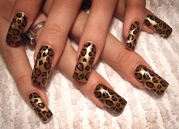 animal nail art - nails art photos et images de collection