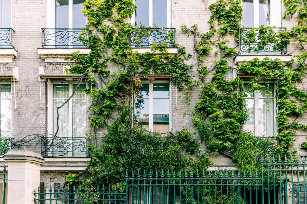 apartment building facade covered with green ivy plant, paris, france - garden decoration stockfoto's en -beelden