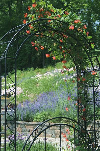 arbor with flowers - garden decoration stock pictures, royalty-free photos & images