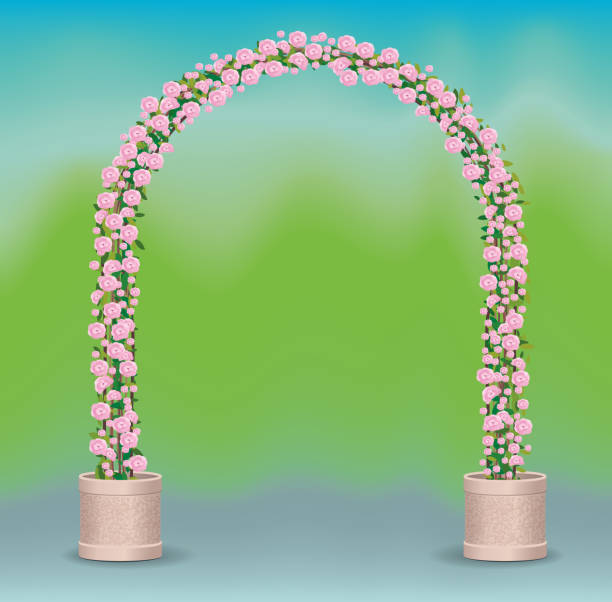 arc of roses feier - garden decoration stock-grafiken, -clipart, -cartoons und -symbole