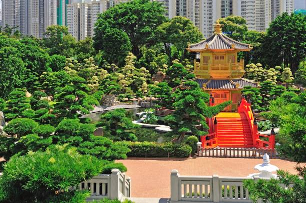 arch bridge and pavilion in nan lian garden, hong kong. - garden decoration stock pictures, royalty-free photos & images
