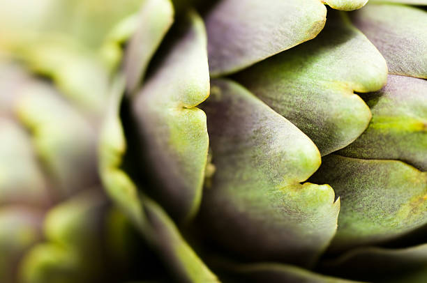 artichoke - food stock pictures, royalty-free photos & images