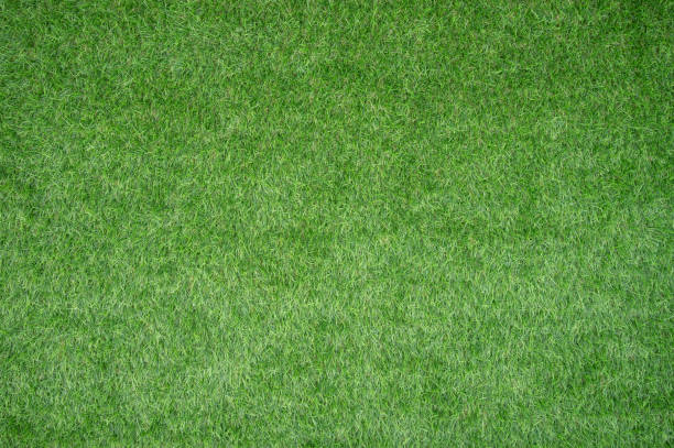 artificial grass, close up, full frame shot - garden decoration stock pictures, royalty-free photos & images