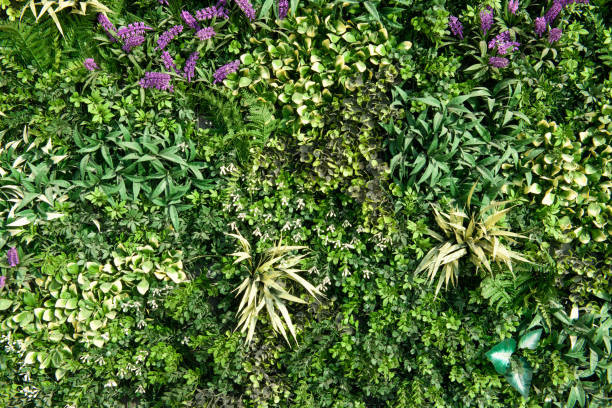 artificial plant leaf plastic panels over a building's exterior wall - garden decoration stock pictures, royalty-free photos & images