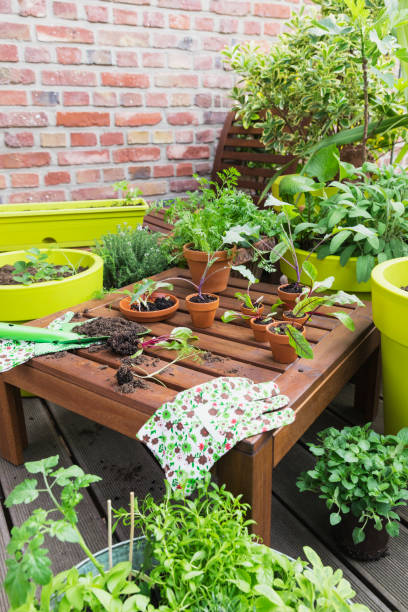assorted potted plants and gardening tools on balcony - garden decoration photos et images de collection