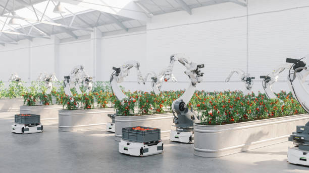 automated agriculture with robots - food stock pictures, royalty-free photos & images