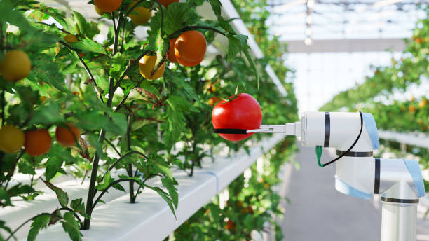 automated hydroponic farm - food stock pictures, royalty-free photos & images