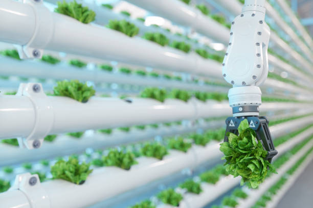 automatic agricultural technology with close-up view of robotic arm harvesting lettuce in vertical hydroponic plant - food stock pictures, royalty-free photos & images