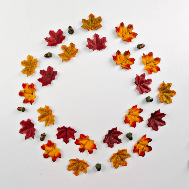 autumn circle composition. the phrase is written on a white table. leaves, acorn and pumpkins on white background - home decoration stockfoto's en -beelden