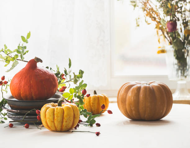 autumn kitchen setting with various orange and yellow pumpkins, rose hip and flower bouquet on white kitchen table at window background with natural light - home decoration stock pictures, royalty-free photos & images