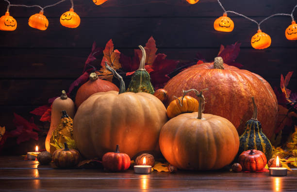 autumn pumpkin holiday background - home decoration stock pictures, royalty-free photos & images
