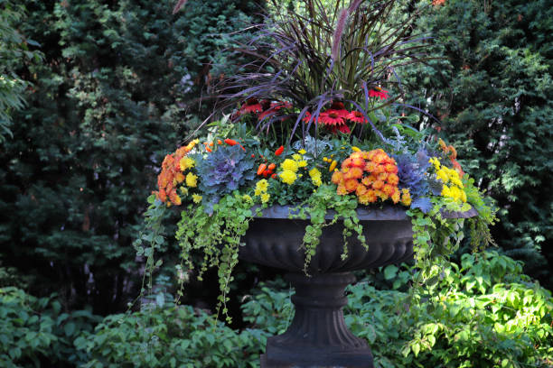 autumnal wonder garden in a vase - garden decoration stock pictures, royalty-free photos & images