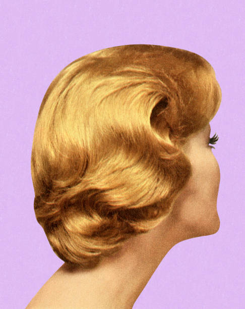 back view of woman's hairstyle - hairstyle stock illustrations