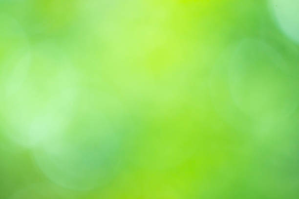 background from nature forest - garden decoration stock pictures, royalty-free photos & images