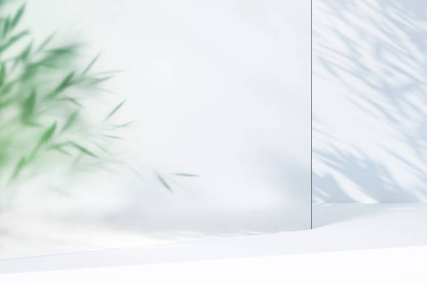 background made of many green plant leaves behind frosted glass and shadows on the white wall. perfect backdrop for showing your products. three dimensional illustration - home decoration stockfoto's en -beelden