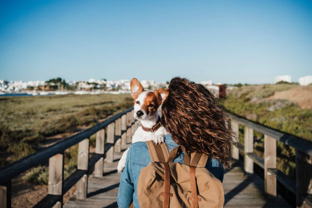 backpacker holding dog on footpath during sunny day - travel stock pictures, royalty-free photos & images