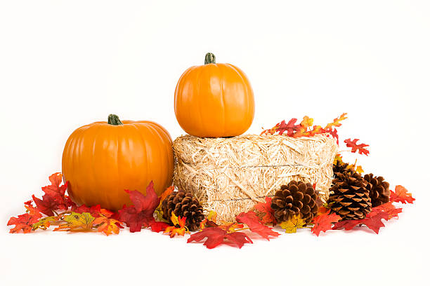 bale of hay, pumpkins, pine cones and leaves on white - home decoration stockfoto's en -beelden