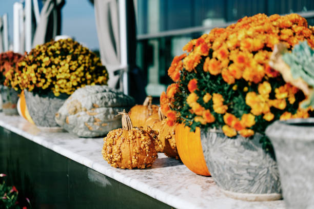 baltimore during covid-19 - garden decoration stock pictures, royalty-free photos & images