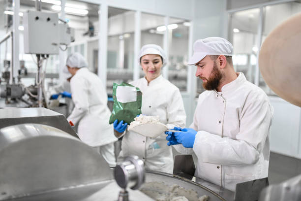 bearded male worker in food processing plant using female's help to prepare cottage cheese for peppers - food stock pictures, royalty-free photos & images
