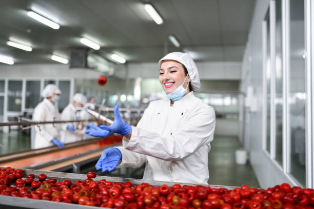 beautiful female juggling with peppers read for cottage cheese stuffing in food processing plant - food stock pictures, royalty-free photos & images