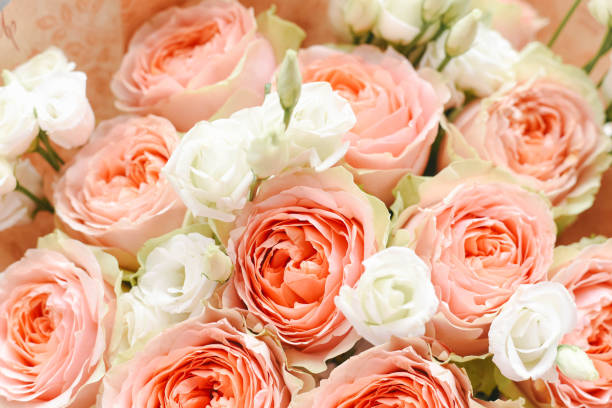 beautiful light rose flowers with eustoma. - garden decoration stock pictures, royalty-free photos & images