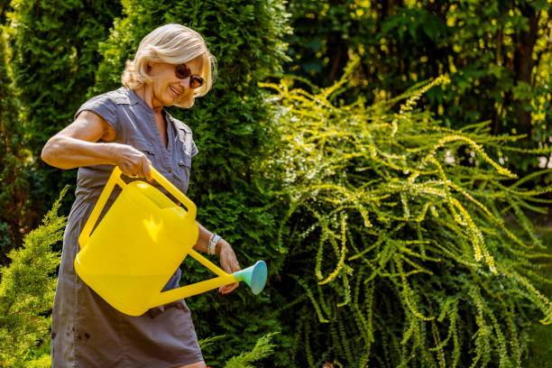 beautiful mature woman in a garden watering flowers - garden decoration stock pictures, royalty-free photos & images