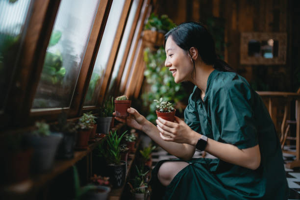 beautiful smiling young asian woman taking care of her houseplants in the balcony. enjoying her time at home. going green lifestyle - home decoration stock pictures, royalty-free photos & images