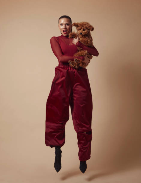 beautiful woman jumping with cute dog in her arms. - fashion stock pictures, royalty-free photos & images
